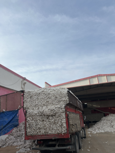 turkish cotton ginnery